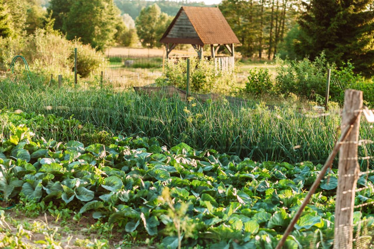 Czar Podlasia Agroturystyka Oslowo  Exteriér fotografie
